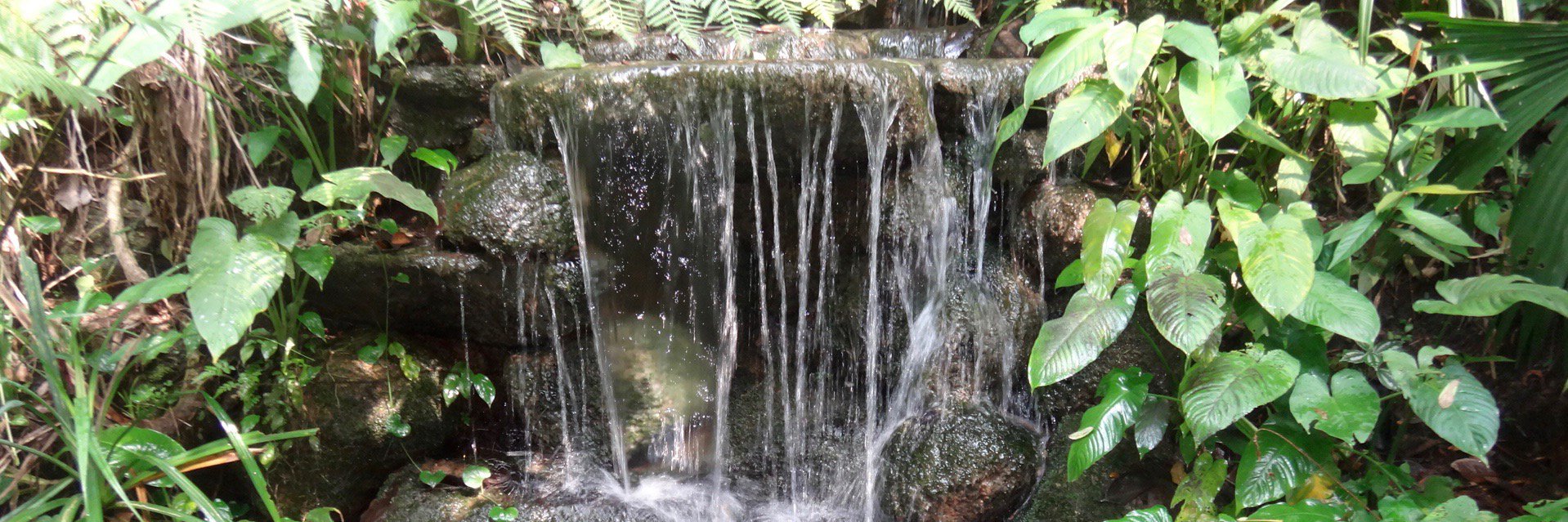 safarisquad's profile banner image
