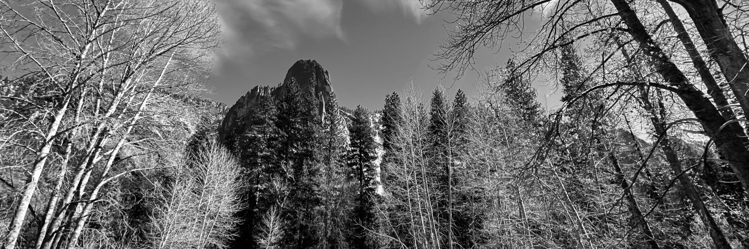 JBisnik's profile banner image