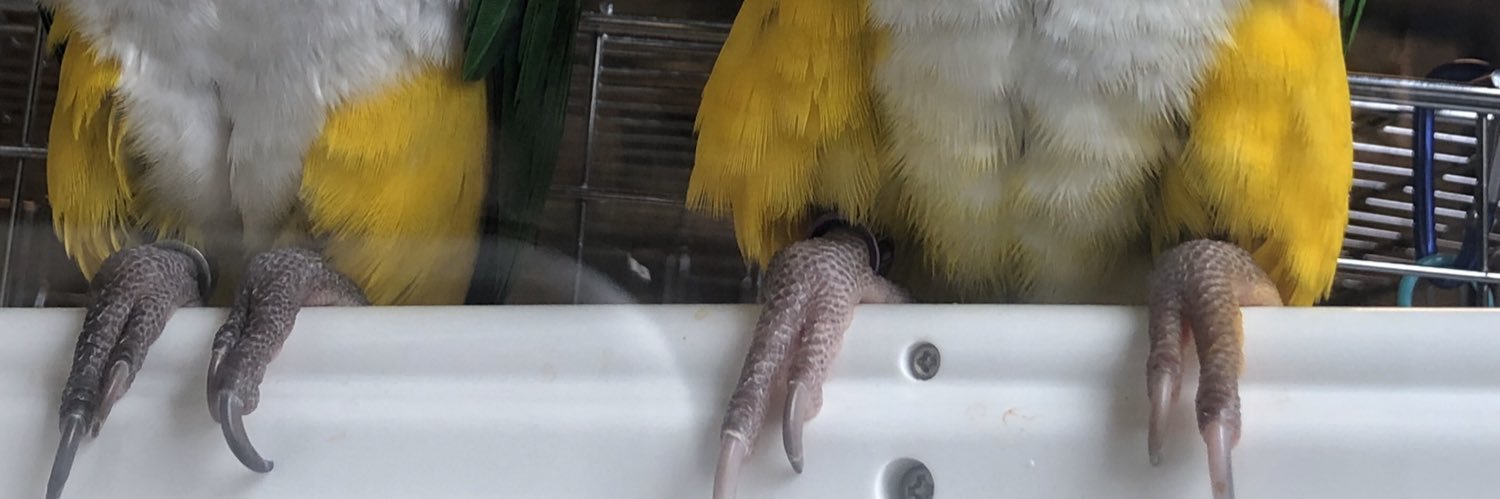 (๏θ๏)ぺちぎん(ಠθಠ) banner