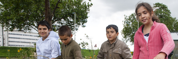 PublicResult Profile Banner