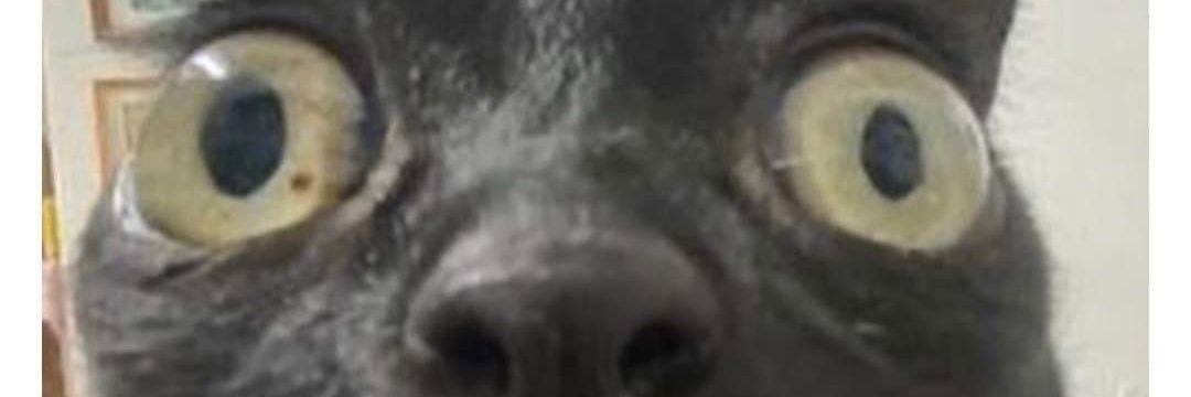 TheDzidek's profile banner image