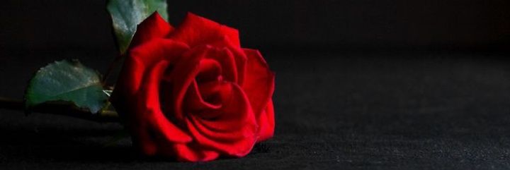 GithuiBecky's profile banner image
