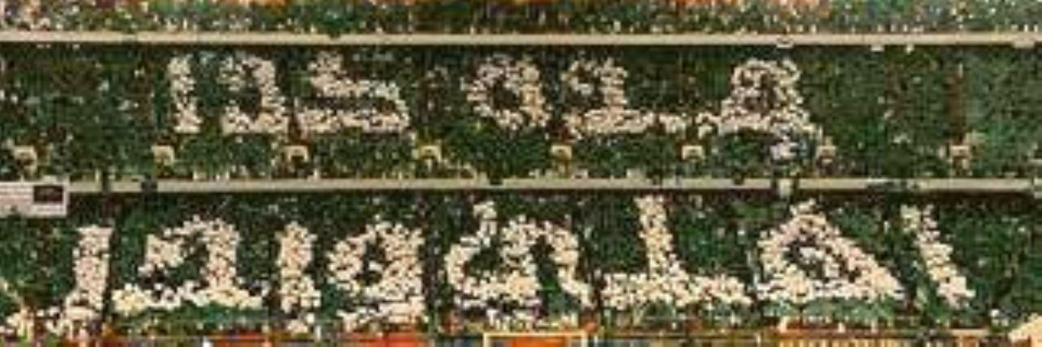 yoooou_u's profile banner image