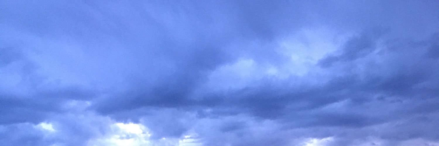 Jules⁷🐳💜⦿ ☰ ☲ banner