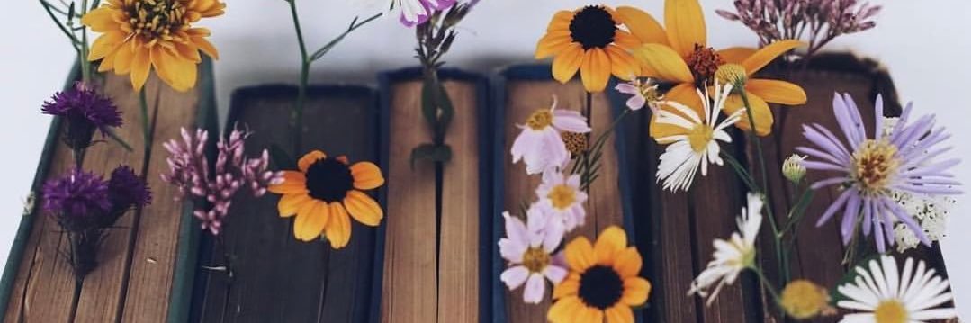 FaithAMunoz's profile banner image