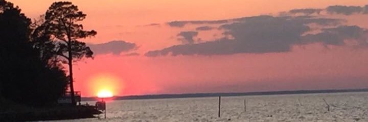 BobbyGordon3's profile banner image