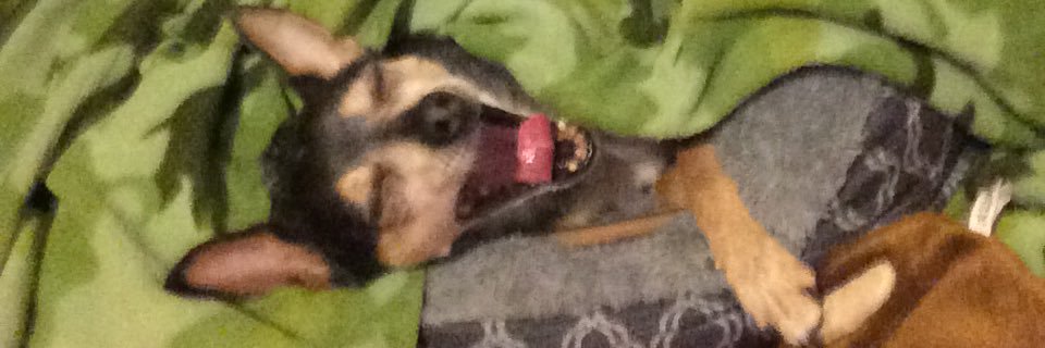 psoup38's profile banner image