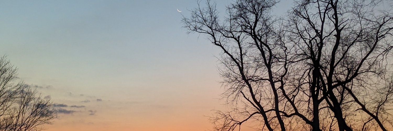 kim_getz's profile banner image