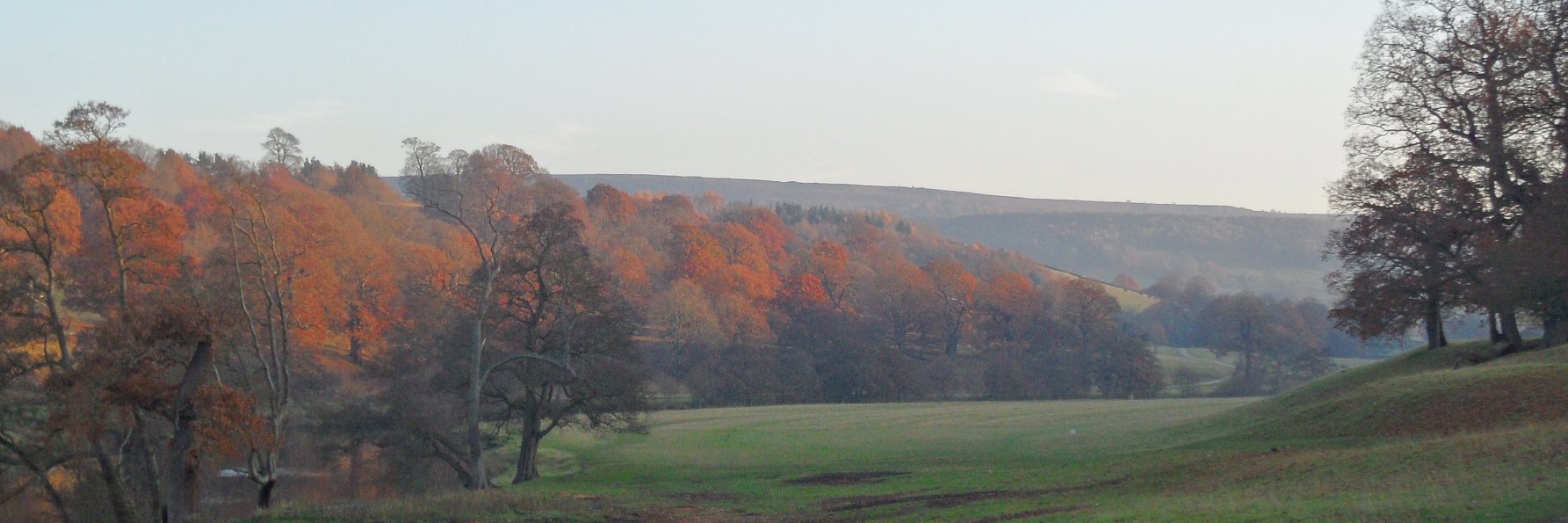 gramham11's profile banner image