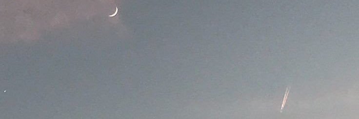 ppzilla's profile banner image