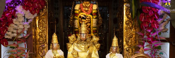 baibatli Profile Banner