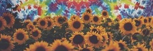 emma_loumay's profile banner image