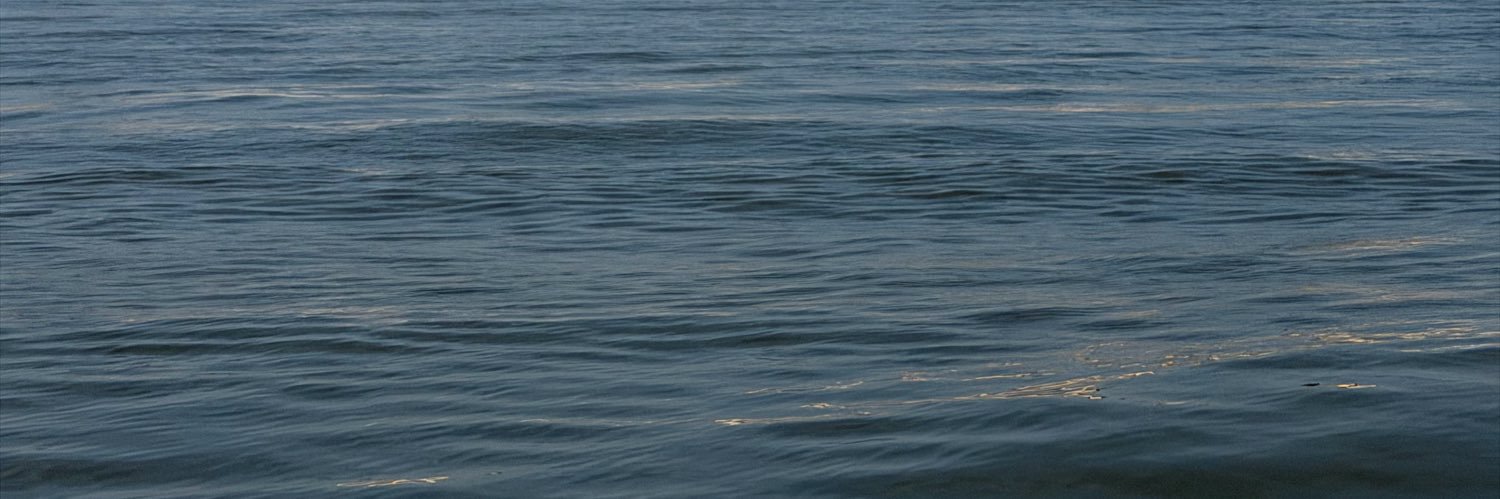 Fernanda__CG_'s profile banner image