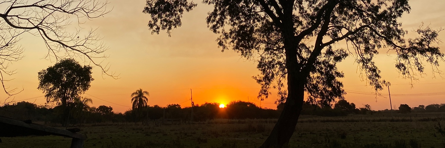 CarlaAlsi's profile banner image