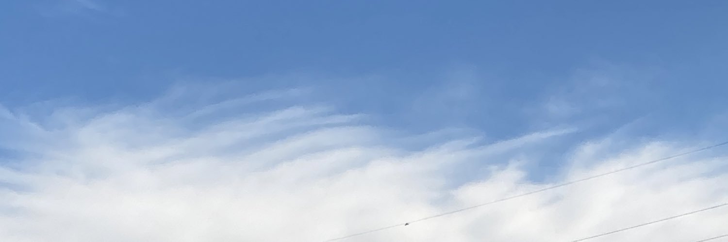 spotmarkforce's profile banner image