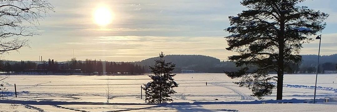 Antti Löppönen banner