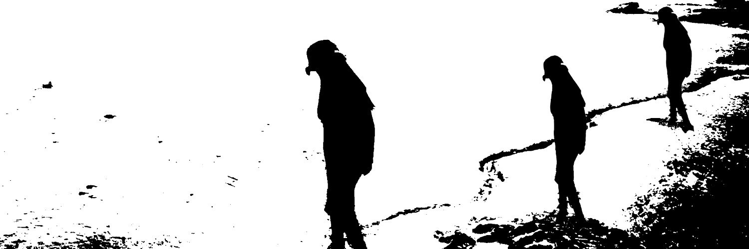EstuaryAngels's profile banner image
