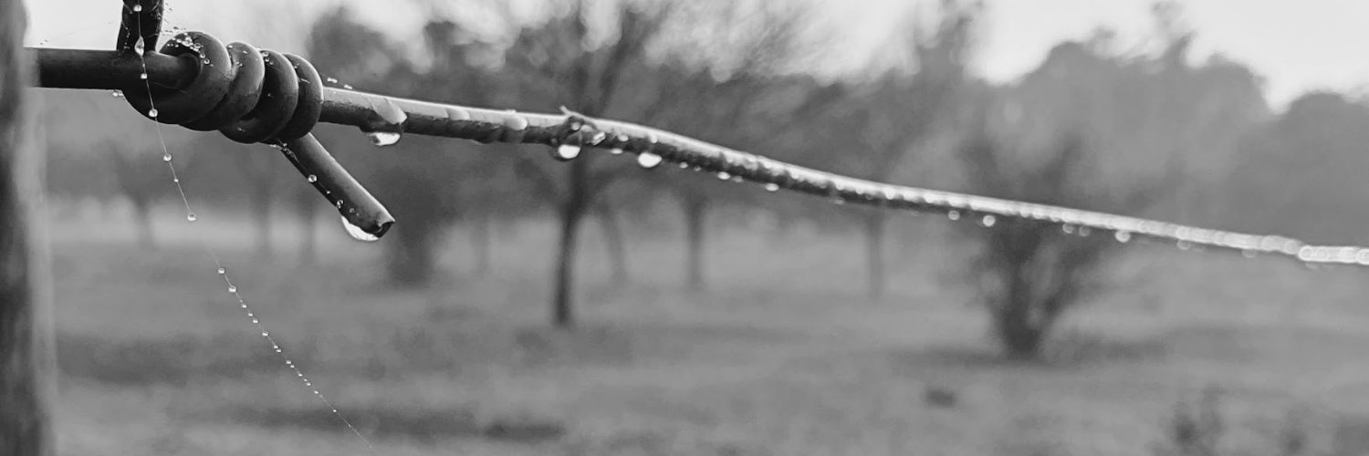 Kato ☆☆☆ banner