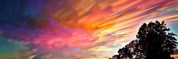 FaynaGopar's profile banner image