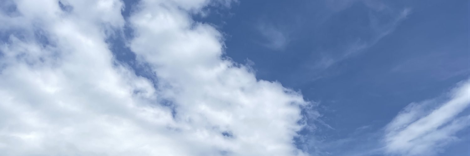 ftnikzmn's profile banner image