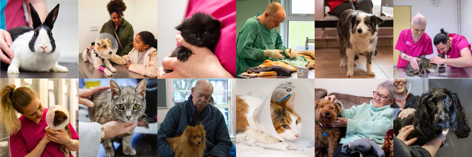 PDSA's banner