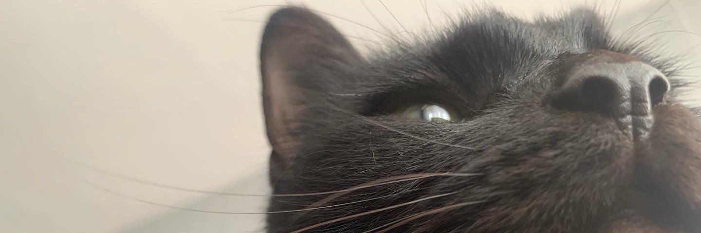 mumfss's profile banner image