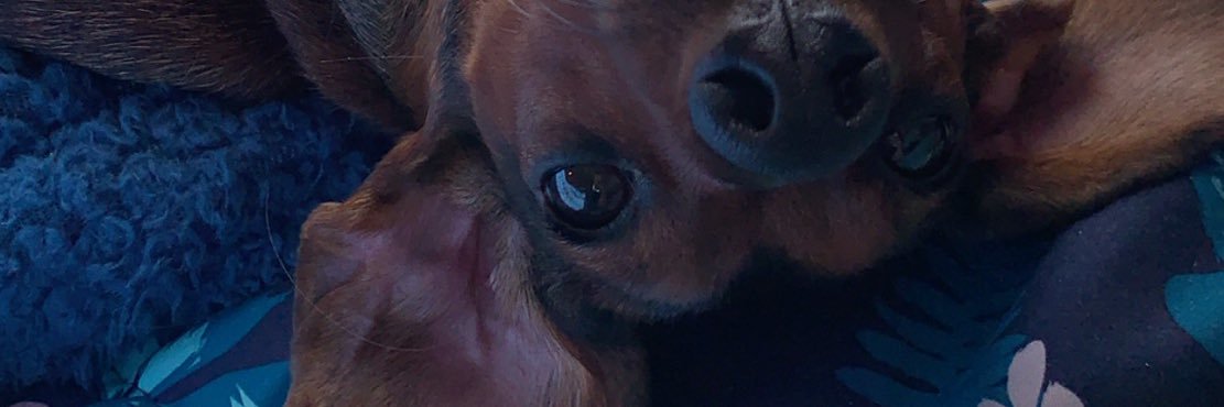 __katie_wall's profile banner image