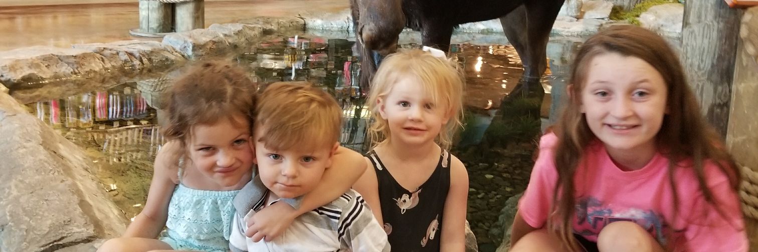 Moose on the loose banner