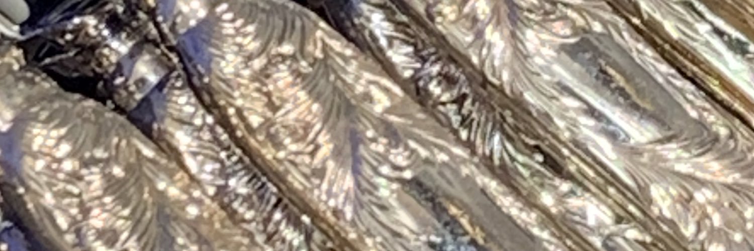 BLAKE WRIGHT banner