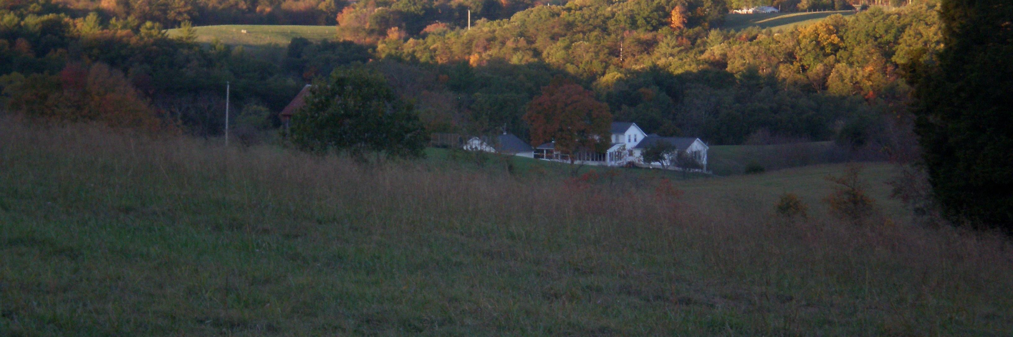 ndaviswhite's profile banner image