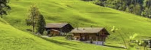 waldofunck's profile banner image