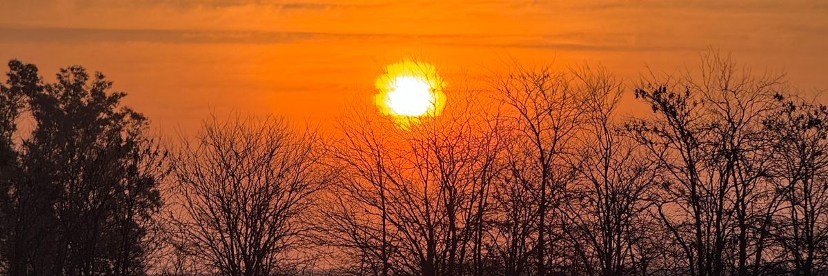 TribunalesDe's profile banner image