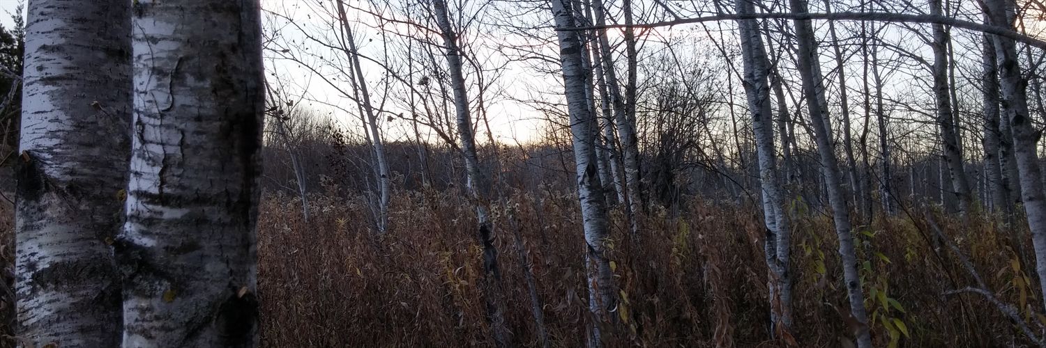 EdinNicole's profile banner image