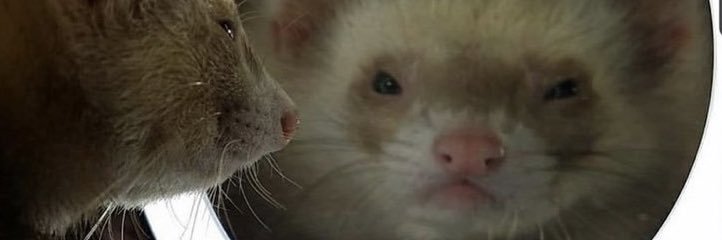 _jamienicole7's profile banner image
