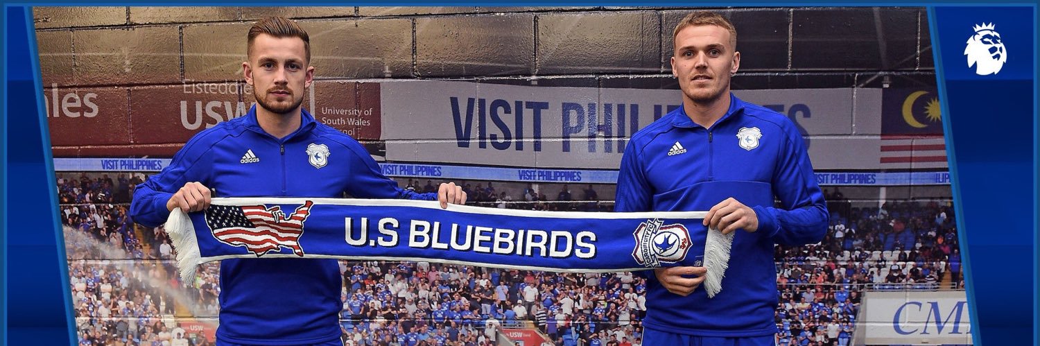 US Bluebirds banner