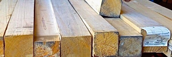 Martinshapes Profile Banner