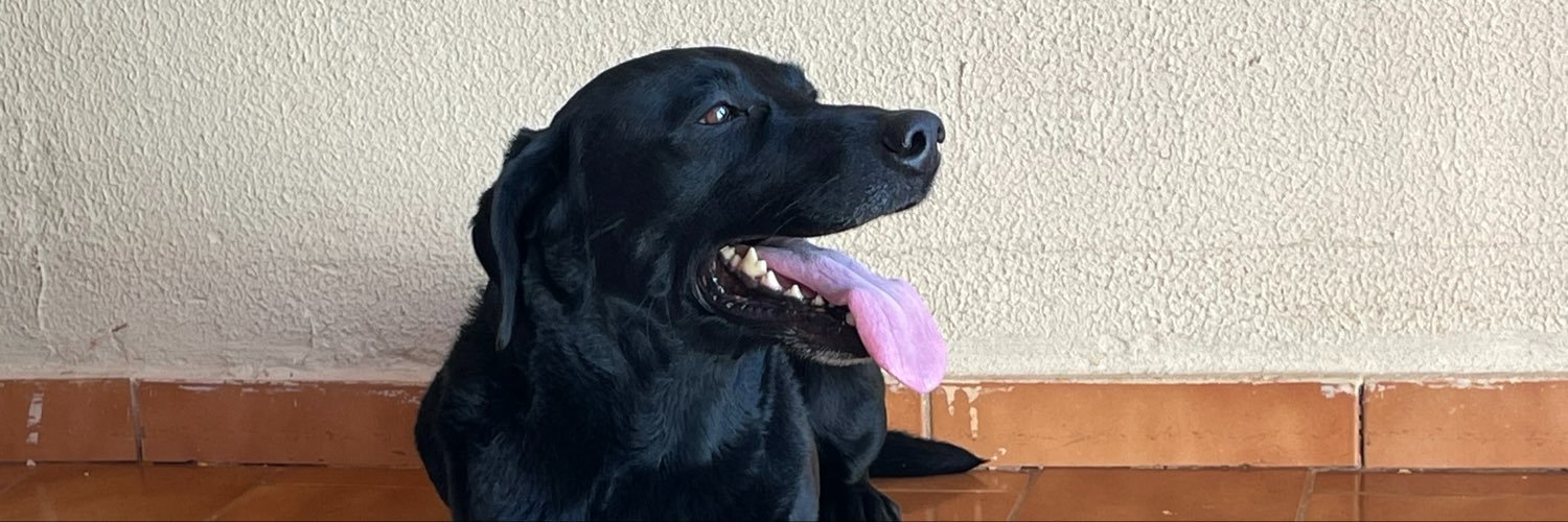 Rodriguesderai's profile banner image