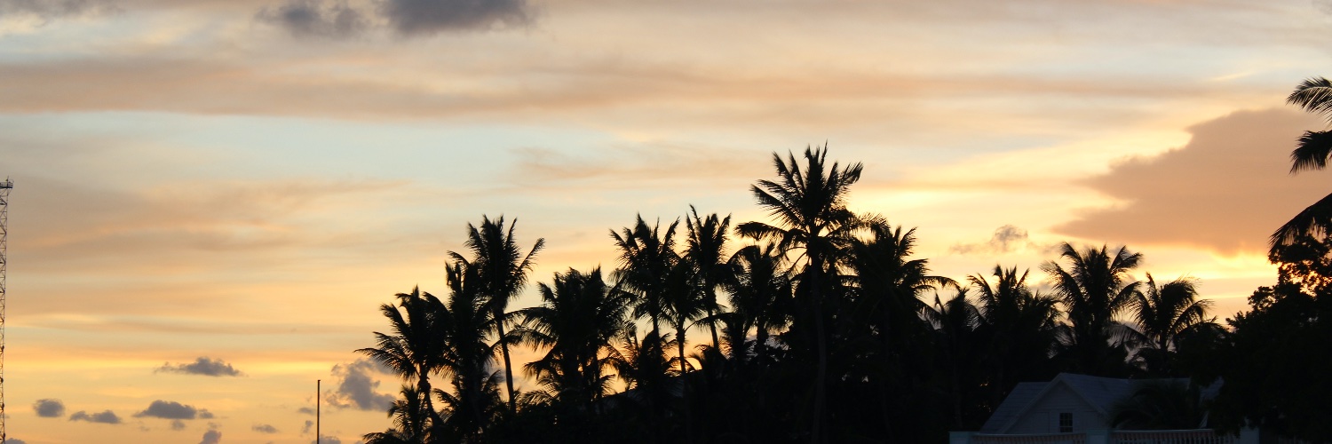 AnthonyDeName's profile banner image