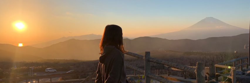 iidayukako's profile banner image