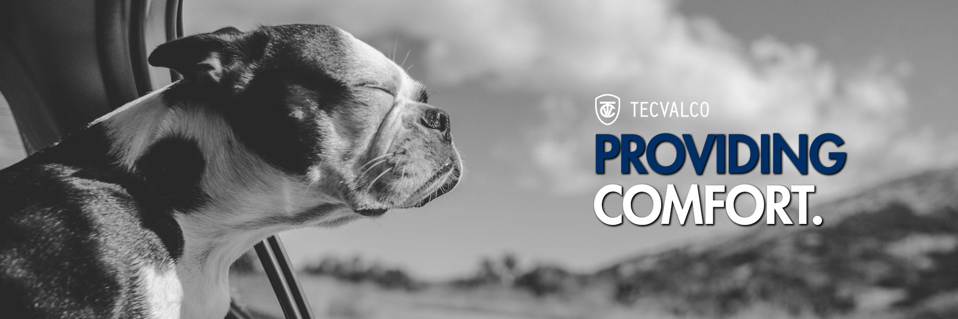 Tecvalco's profile banner image
