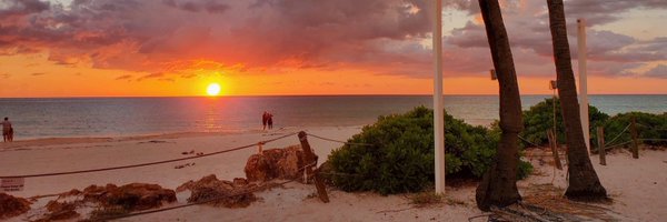 Sarah__McIntyre Profile Banner