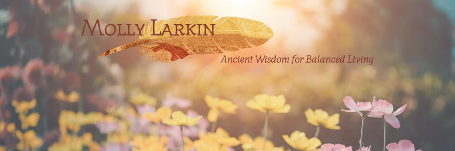 mollylarkin7's profile banner image