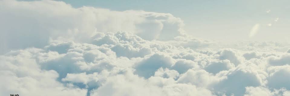 Zavala神™🇲🇽 banner