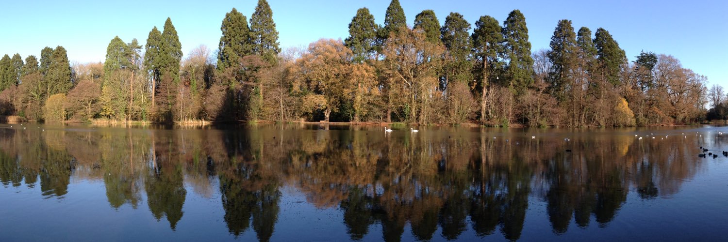 Positive Newport banner