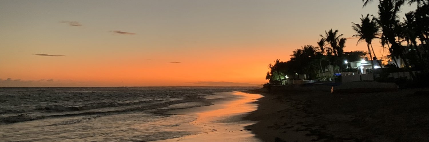 hileanni's profile banner image