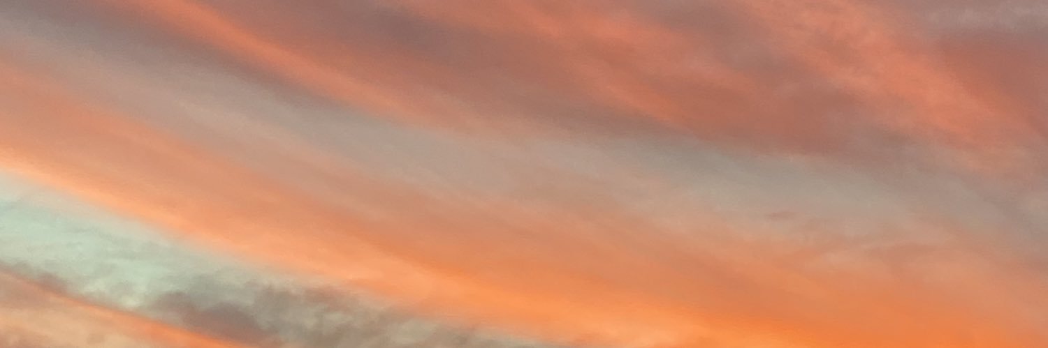 BessWaltner's profile banner image