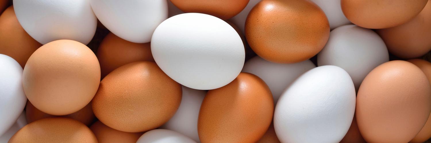 farmerautomatic's profile banner image
