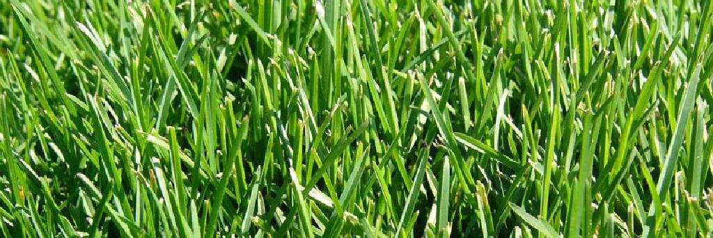 GaryC banner