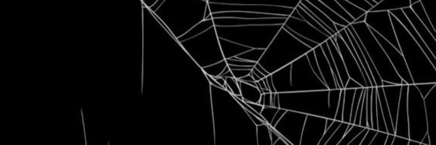 Dani Moss banner