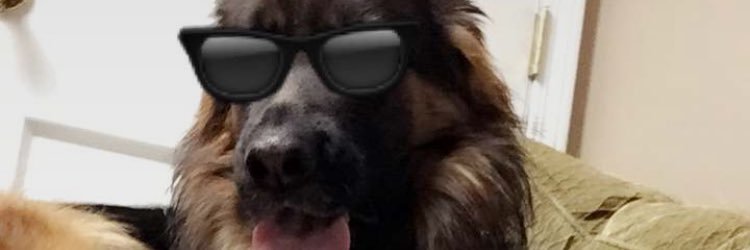 evanchillball1's profile banner image